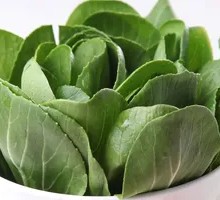 Chinese cabbage