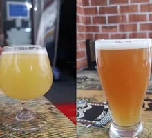 Imported Beer