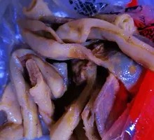 Duck Trachea