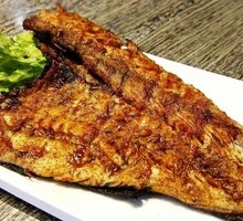Grilled Cod