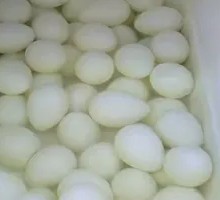 Quail Egg