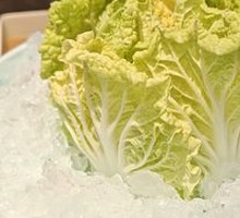 Cute Baby Bok Choy