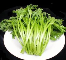 Bamboo Shoots