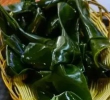 Kelp