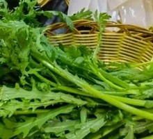 Bamboo Shoots