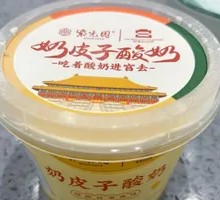Creamy Milk Yogurt