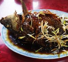 Sauced Big Carp