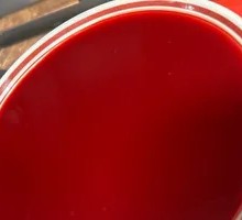 Fresh Duck Blood