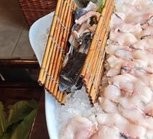 Duckbill Fish