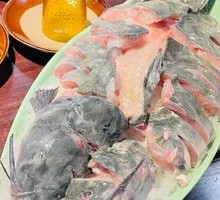 Green River Fish