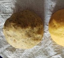 Corn Cake