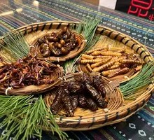 Fried Stick Insect, Golden Cicada, Water Mantid, and Cicada Platter