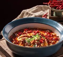 Premium Maoxuewang