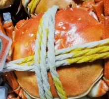 Yangcheng Lake Crab
