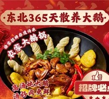 Stewed Goose in Iron Pot