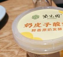 Creamy Milk Yogurt