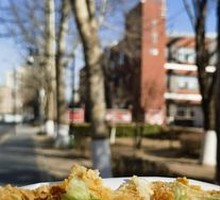Mixed Grain Crepe