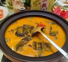 Braised Wild Softshell Turtle