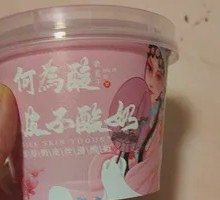 Creamy Milk Yogurt