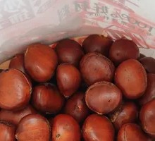 Chestnut