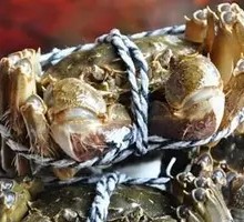 Male Crab