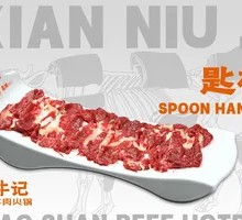 Spoon Handle