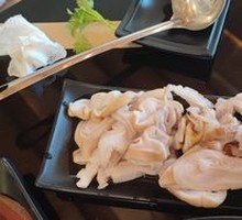 Shark's Stomach
