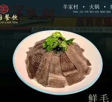 Fresh Tripe