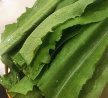 Oilseed lettuce