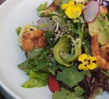 Fresh Shrimp Avocado Salad