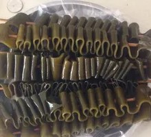 Kelp
