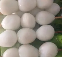 Quail Egg