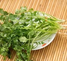 Add Cilantro