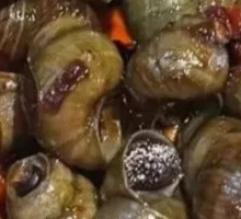 Spicy Water Snail