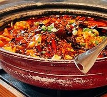 Premium Maoxuewang