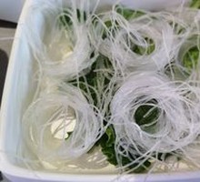 Longkou Mung Bean Noodles