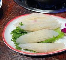 Rocket Squid