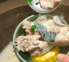 江团鱼