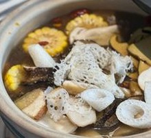 Fresh Bamboo Fungus