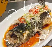 Oil-Preserved Flatfish
