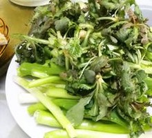 Wild Mountain Vegetables