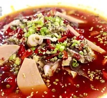 Premium Maoxuewang