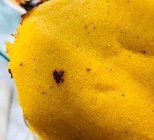 Cornmeal Pancake