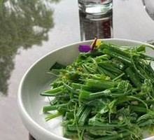 Lemongrass Oil Loofah Tips