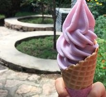 Lavender Ice Cream