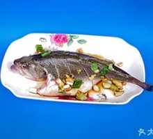 Black Carp
