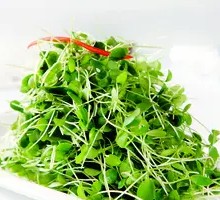 Fiddlehead Fern Salad with Tofu Strips