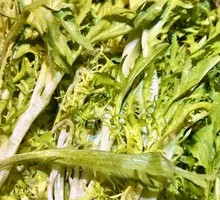 Endive