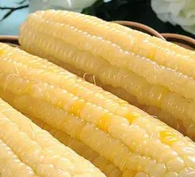 Glutinous Corn