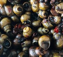 Spicy Stir-Fried Snails